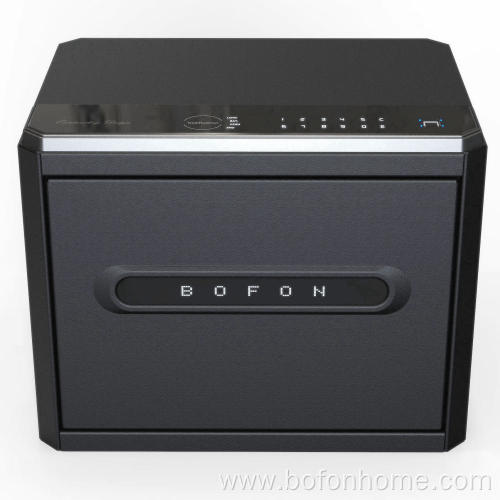 Big Security Box Fingerprint Password for Home